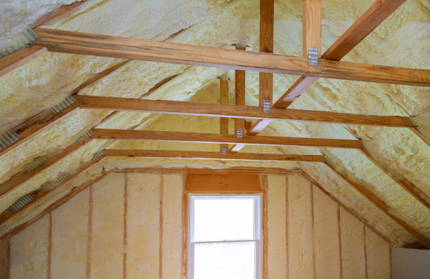 Best Spray Foam Insulation  in Northchase, NC
