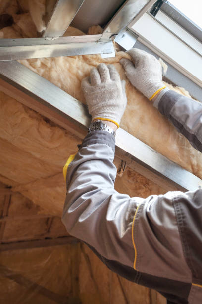 Best Fiberglass Insulation  in Northchase, NC