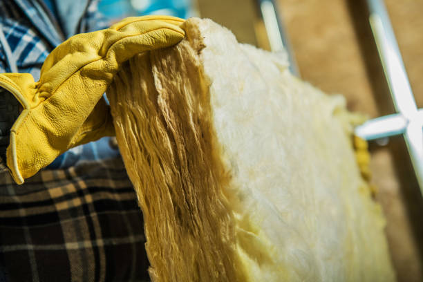 Insulation Inspection Services in Northchase, NC