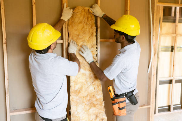 Best Insulation for Commercial Buildings  in Northchase, NC
