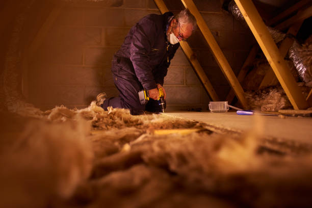 Best Insulation Contractor Near Me  in Northchase, NC